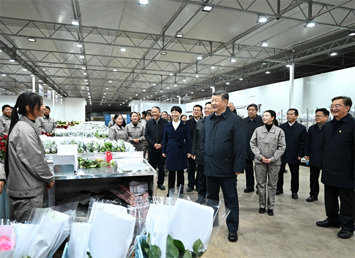 JDB���ӡ�(�й�)�ٷ���վ